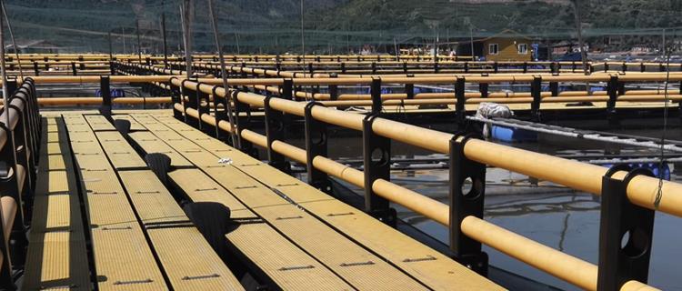 小金库钱包app下载