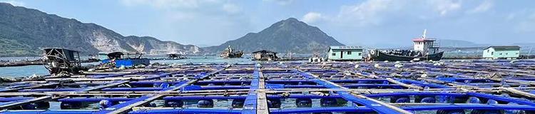 小金库钱包app下载